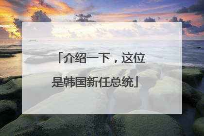 介绍一下，这位是韩国新任总统