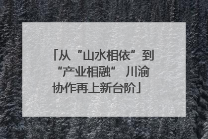 从“山水相依”到“产业相融” 川渝协作再上新台阶