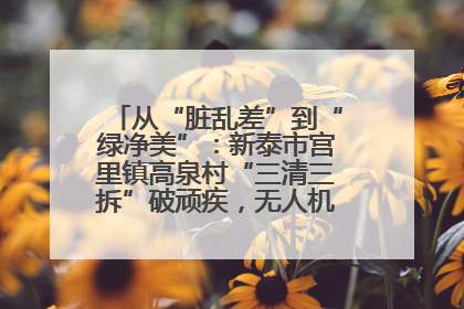 从“脏乱差”到“绿净美”：新泰市宫里镇高泉村“三清三拆”破顽疾，无人机“天眼”护新颜