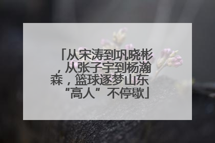 从宋涛到巩晓彬，从张子宇到杨瀚森，篮球逐梦山东“高人”不停歇