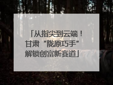 从指尖到云端！甘肃“陇原巧手”解锁创富新赛道