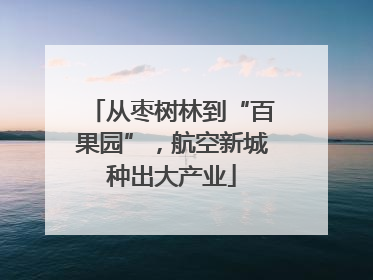 从枣树林到“百果园”，航空新城种出大产业