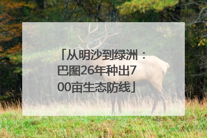 从明沙到绿洲：巴图26年种出700亩生态防线