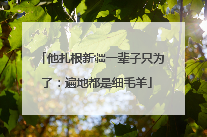 他扎根新疆一辈子只为了：遍地都是细毛羊