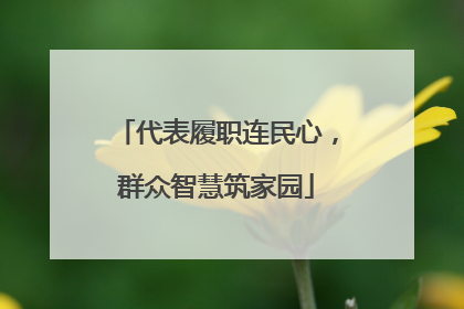 代表履职连民心，群众智慧筑家园