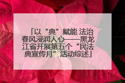 以“典”赋能 法治春风浸润人心——黑龙江省开展第五个“民法典宣传月”活动综述