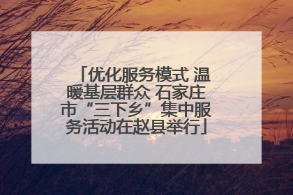 优化服务模式 温暖基层群众 石家庄市“三下乡”集中服务活动在赵县举行