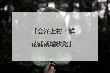 会泽上村：鲜花铺就增收路