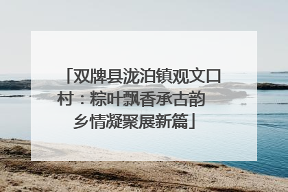 双牌县泷泊镇观文口村：粽叶飘香承古韵 乡情凝聚展新篇