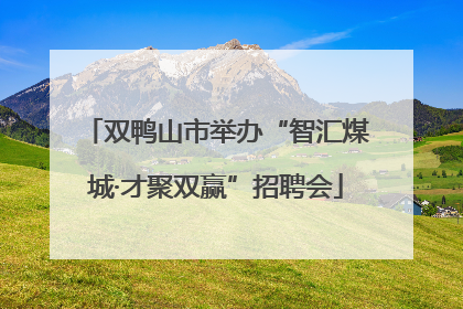 双鸭山市举办“智汇煤城·才聚双赢”招聘会