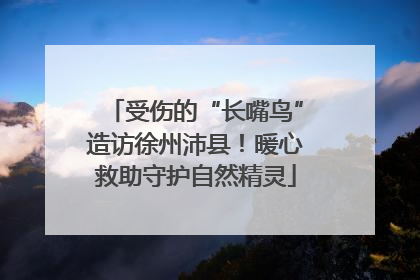 受伤的“长嘴鸟”造访徐州沛县！暖心救助守护自然精灵