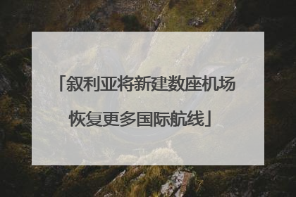 叙利亚将新建数座机场 恢复更多国际航线