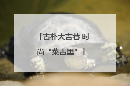 古朴大吉巷 时尚“菜古里”