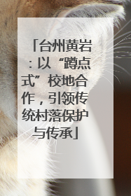 台州黄岩：以“蹲点式”校地合作，引领传统村落保护与传承