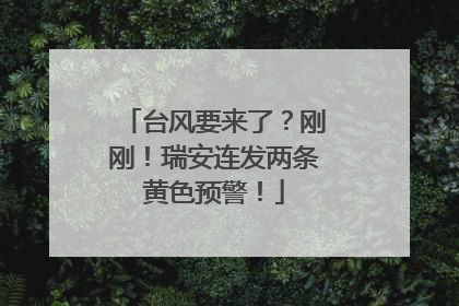 台风要来了？刚刚！瑞安连发两条黄色预警！