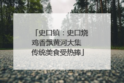 史口镇：史口烧鸡香飘黄河大集 传统美食受热捧