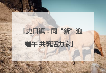 史口镇：同“新”迎端午 共筑活力家