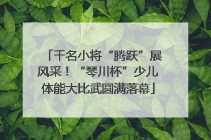 千名小将“腾跃”展风采！“琴川杯”少儿体能大比武圆满落幕