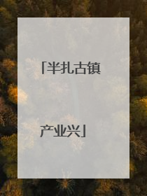 半扎古镇产业兴