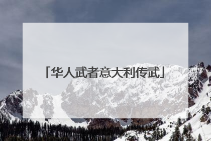 华人武者意大利传武