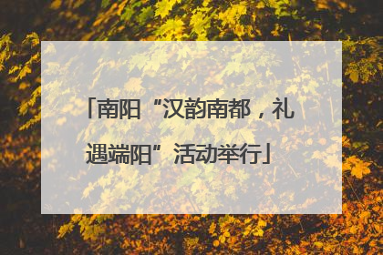 南阳“汉韵南都，礼遇端阳”活动举行