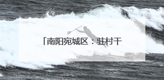南阳宛城区：驻村干部化身 “三员” 助力生产一线抢收抢种