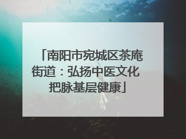 南阳市宛城区茶庵街道：弘扬中医文化 把脉基层健康