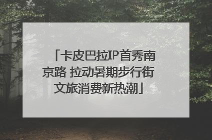 卡皮巴拉IP首秀南京路 拉动暑期步行街文旅消费新热潮