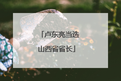 卢东亮当选山西省省长