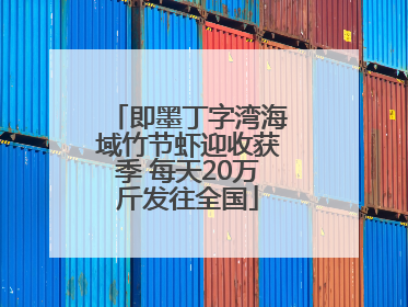即墨丁字湾海域竹节虾迎收获季 每天20万斤发往全国