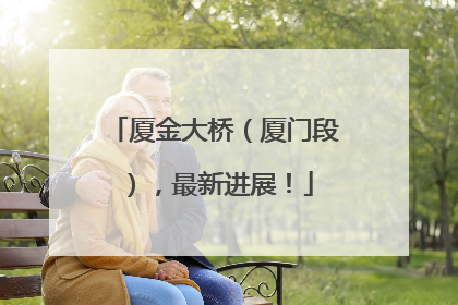 厦金大桥（厦门段），最新进展！