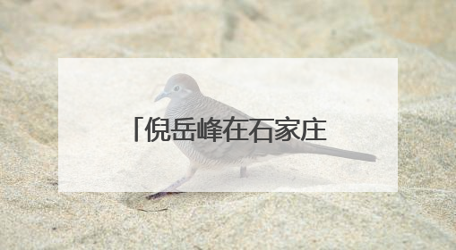 倪岳峰在石家庄市特殊教育学校看望慰问少年儿童