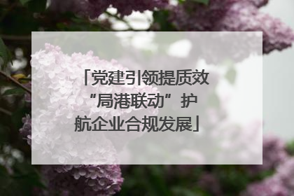 党建引领提质效 “局港联动”护航企业合规发展