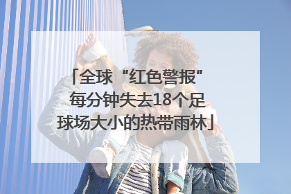 全球“红色警报”  每分钟失去18个足球场大小的热带雨林