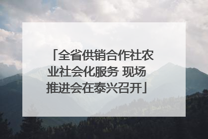 全省供销合作社农业社会化服务 现场推进会在泰兴召开