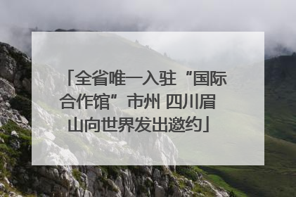 全省唯一入驻“国际合作馆”市州 四川眉山向世界发出邀约