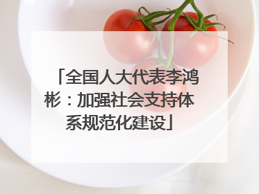 全国人大代表李鸿彬：加强社会支持体系规范化建设