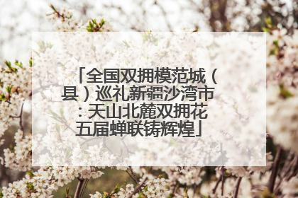 全国双拥模范城（县）巡礼新疆沙湾市：天山北麓双拥花 五届蝉联铸辉煌