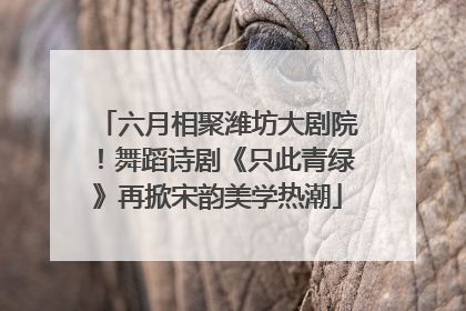 六月相聚潍坊大剧院！舞蹈诗剧《只此青绿》再掀宋韵美学热潮