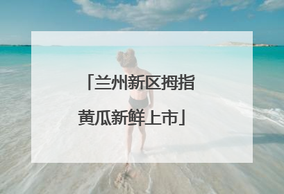 兰州新区拇指黄瓜新鲜上市
