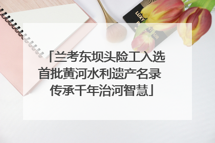兰考东坝头险工入选首批黄河水利遗产名录 传承千年治河智慧