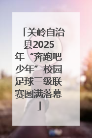 关岭自治县2025年“奔跑吧少年”校园足球三级联赛圆满落幕