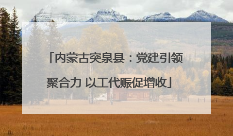 内蒙古突泉县：党建引领聚合力 以工代赈促增收