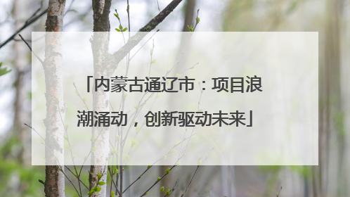 内蒙古通辽市：项目浪潮涌动，创新驱动未来