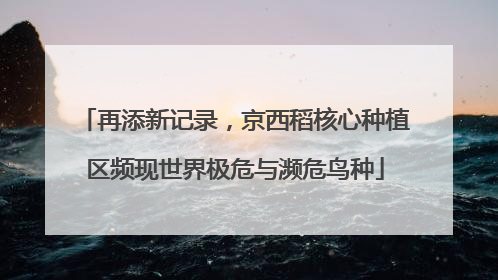 再添新记录，京西稻核心种植区频现世界极危与濒危鸟种