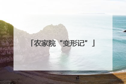 农家院“变形记”