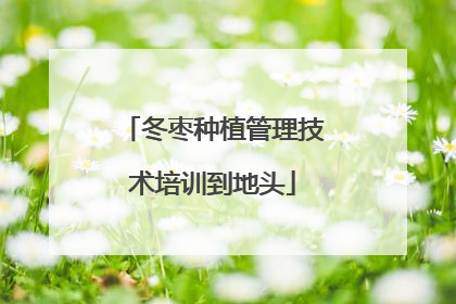冬枣种植管理技术培训到地头