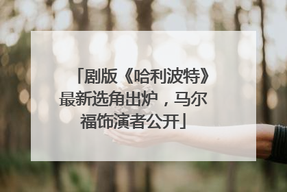 剧版《哈利波特》最新选角出炉，马尔福饰演者公开