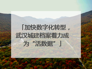 加快数字化转型，武汉城建档案着力成为“活数据”