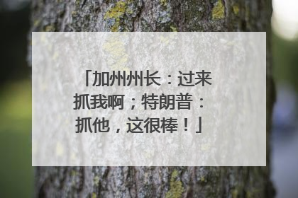 加州州长：过来抓我啊；特朗普：抓他，这很棒！